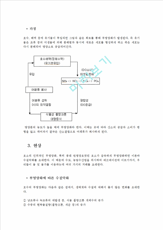 부영양화 과정